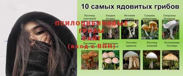 прущая мука Беломорск