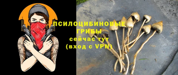 прущая мука Беломорск
