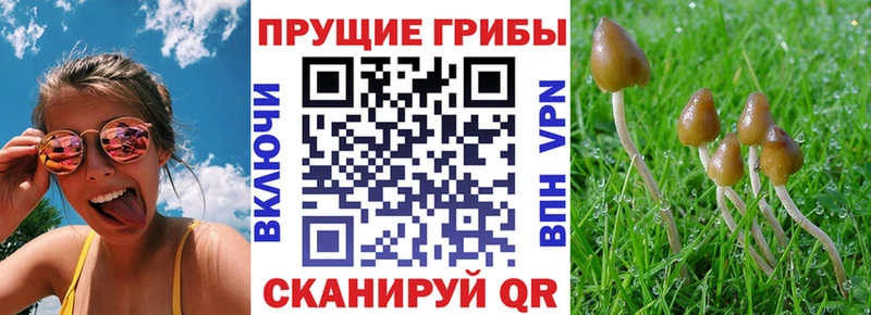 как найти закладки  дарк нет телеграм  ссылка на мегу tor  Галлюциногенные грибы прущие грибы  Окуловка 